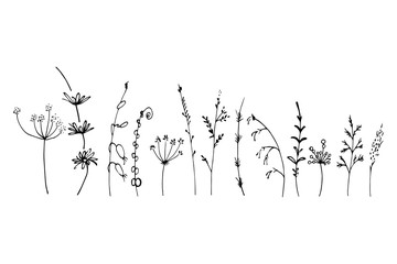 Set of summer herbs.black silhouette.Contour, outline. vector