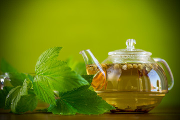 summer refreshing organic tea from currant leaves in a glass teapot