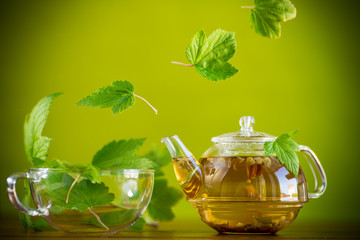 summer refreshing organic tea from currant leaves in a glass teapot
