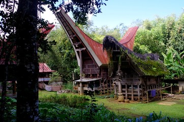 Fototapeta na wymiar Maisons Toraja au Sulawesi