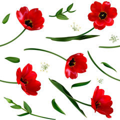 Flowers Red tulips. Floral background. Seamless pattern. Green leaves. White background.