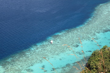 coral reef and sea view of the sea from the mountain in malaysia sabah,
with two color meet at a point, navy and blue, peaceful ocean, amazing nature, blue sky and green mountain 