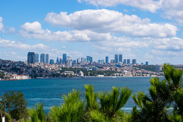 Fototapeta na wymiar Istanbul skyline.