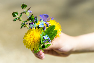 the hand holds a small bunch of meadow flowers illuminated by the sun