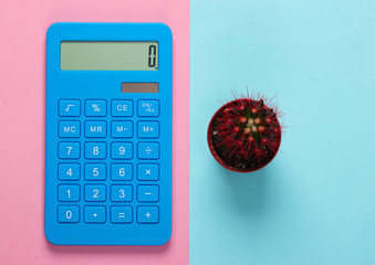 Blue calculator with cactus in pot on pink blue background. Top view. Minimalism