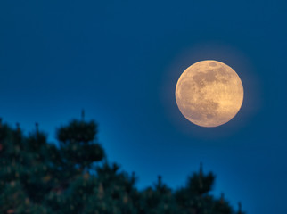 Fototapeta na wymiar full moon over blue sky