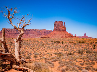 The Monument Valley On the way to Artist's Point. It's a region of Colorado Plateau characterized by cluster of vast sandstone buttes, Arizona Utah border