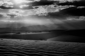 Mesquite flat sand dunes in black and white