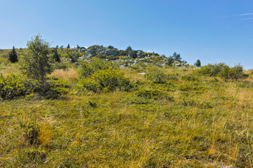 Obraz premium Autumn view of Vitosha Mountain, Bulgaria