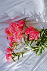 a bouquet of pink peonies on white sheets