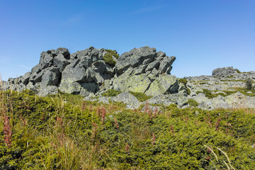 Autumn view of Vitosha Mountain, Bulgaria