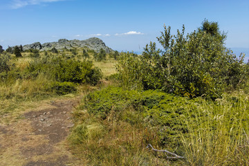 Autumn view of Vitosha Mountain, Bulgaria