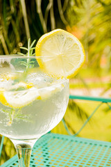 Fresh Gin Tonic with Lemon