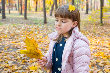 Girl with yellow maple leaves in the autumn park, on a sunny day.