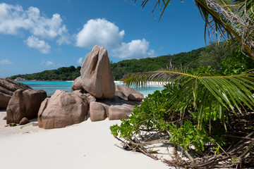 Seychelles is an archipelagic island country in the Indian Ocean. A group of 44 islands granitic and coraline. A paradise for traveller one of the most beautiful plcae in the world
