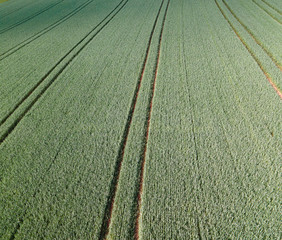 Agricultural fields from above - wonderful nature - aerial view by drone