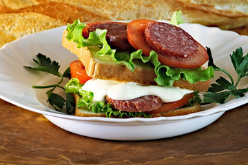 sandwich on a plate