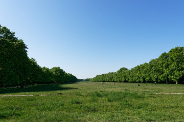 Large playground in the forest