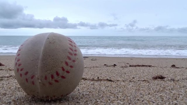 pelota de juguete en la orilla 