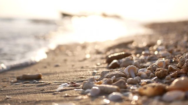 Blured bokeh nature sea beach tropical background in morning sunlight. Shimmering sea wave foams wash up on sand beach with sea shells debris and pebbles sparkling shiny reflected to sun light.