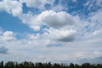 Landscape. Clouds in the sky, trees on the horizon