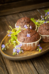 Chocolate muffin cupcakes on rustic wooden table decorated with blue flowers