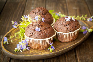 Close up of chocolate muffin cupcakes with blue spring flowers on dark wooden table
