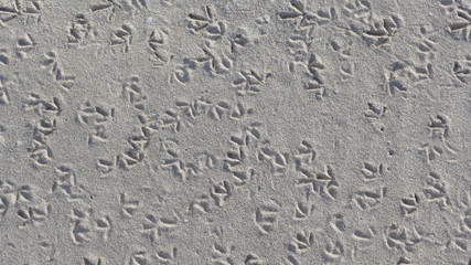 Spuren im Sand