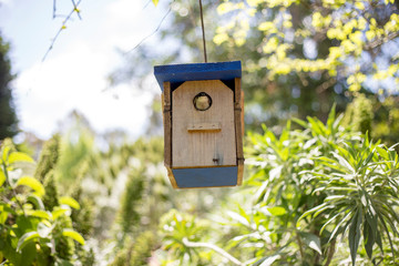 bird house