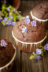 chocolate maffins decorated in blue spring flowers