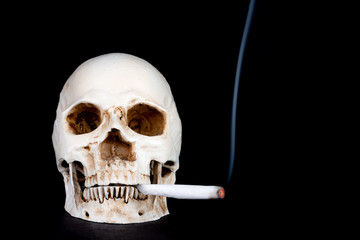 Skull Smoking Joint