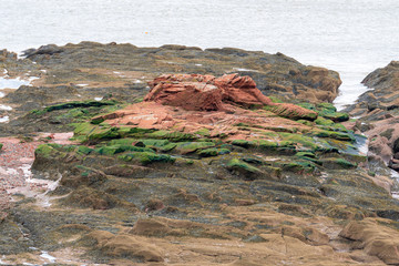 Sandstone And Seaweed © madscinbca