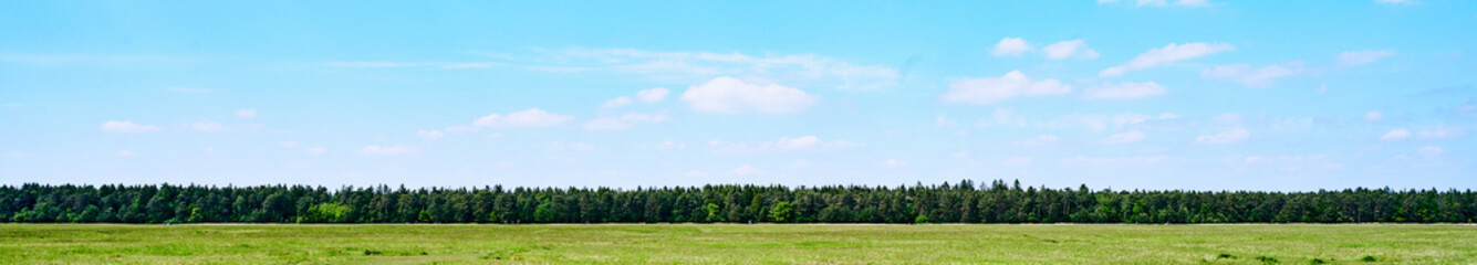 Fototapeta na wymiar Wald Streifen Horizont mit blauem Himmel und Wise als HIntergrund Banner