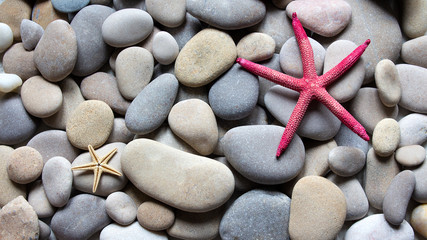 Fototapeta na wymiar Background of starfish, pebbles, stones and shells. Summer card. Seashore. Spa stones. The concept of holidays and family holidays. Copy space