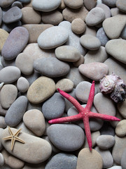 Fototapeta na wymiar Background of starfish, pebbles, stones and shells. Summer card. Seashore. Spa stones. The concept of holidays and family holidays. Copy space. Vertical orientation