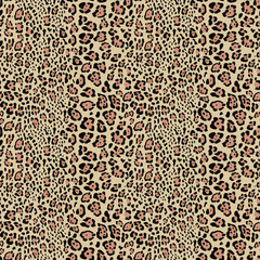 Seamless pattern of leopard and Jaguar. The skin of a wild animal in the vector, print