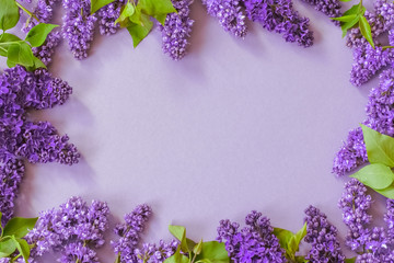 frame with purple lilac flowers. background with lilac flowers. branches of blooming lilac lay flat. lilac copy space.