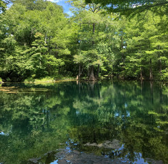 Wes Skiles Peacock Springs State Park, Florida - View of Peacock II Spring