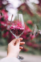 glass of wine full of petals