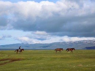 Fototapeta na wymiar The horses and their nomadic shepherd on the high plateau of Son Kul, central Kyrgyzstan