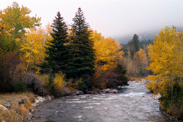 Red Lodge Fall Trees Rock Creek 1