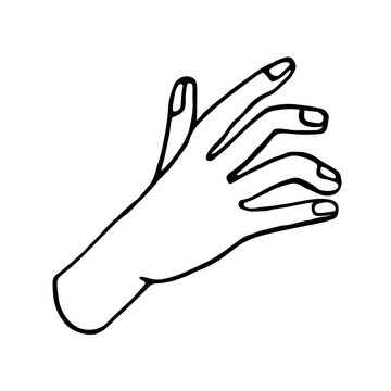 Hand drawn doodle illustration of palm, hand. Human concept design. Pointer sign, vector gesture
