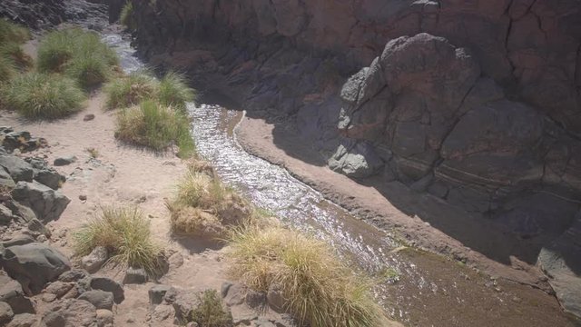 Cactus and Guatin Canyon at San Pedro de Atacama, Antofagasta