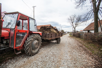 Natural manure Raw compost