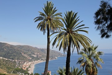 Fototapeta na wymiar palm trees, bay view, coast of eastern Sicily, Mediterranean landscape, Tyrrhenian sea
