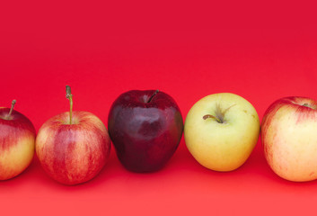 many kinds of apples on red background organic fruits