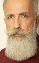 Perfect beard. Close-up of senior bearded man standing against grey background