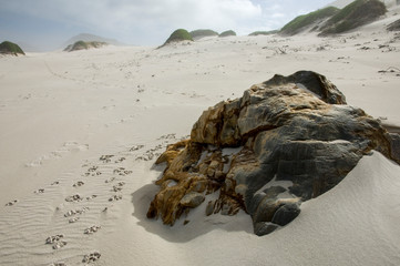 Obraz premium stones and pepples at beach south africa