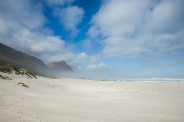 foggy landscape at misty cliffs south africa