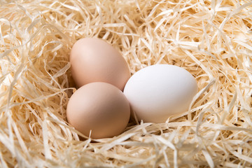 Organic chicken eggs in nest closeup. Food photography